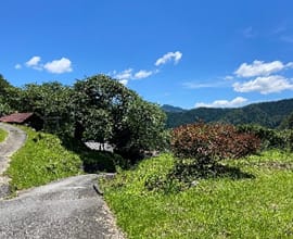 南信州愛宕山風景